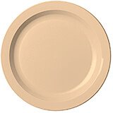 Beige, 10" Narrow Rim Plate, Unbreakable Dinnerware, 48/PK