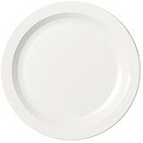 White, 10" Narrow Rim Plate, Unbreakable Dinnerware, 48/PK