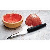 Stainless Steel Grapefruit Knife, Exoglass Handle