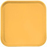 Tuscan Gold, 13" x 13" (33x33 cm) Trays, 12/PK