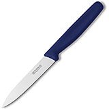4" Paring Knife, Spear Point, Straight Blade, Blue Nylon Handle