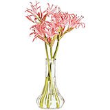 Clear, 6" Polycarbonate Bud Vases, 12 Pack