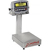 Stainless Steel, Bench Scale, Electronic, 15 Lb. W/ 190 Digital Weight Indicator