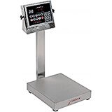 Food Service Scales